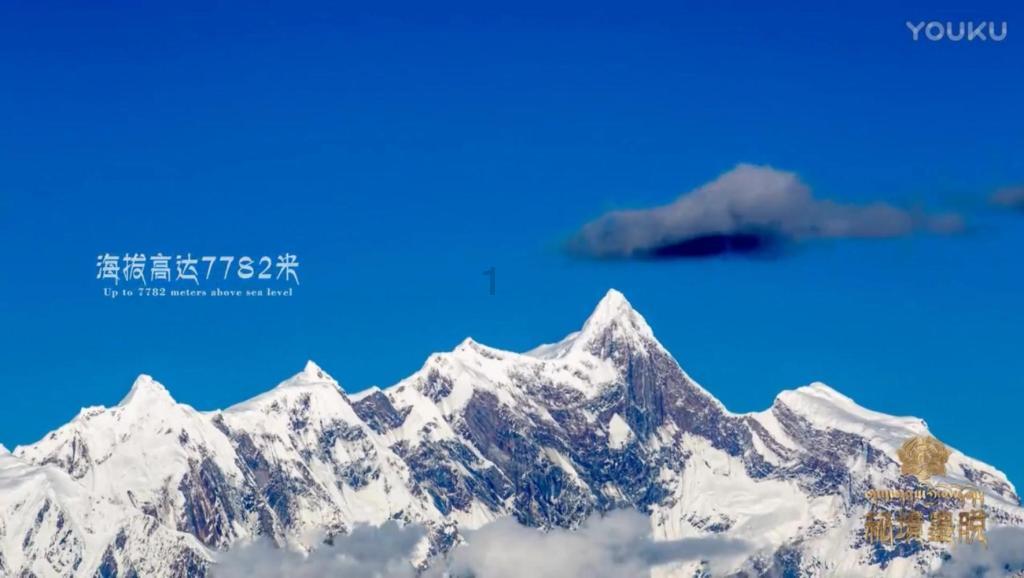 奥特曼大作战