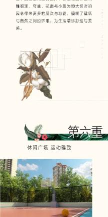 广东一男子用淡水生鱼喂猫遭质疑，猫吃鱼不是“天经地义”吗？游戏画面