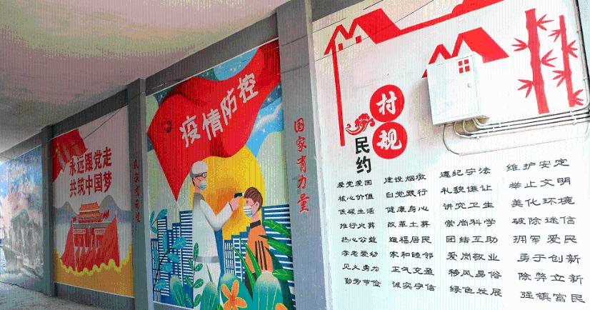 “95后小花”赵露思还能走多远?